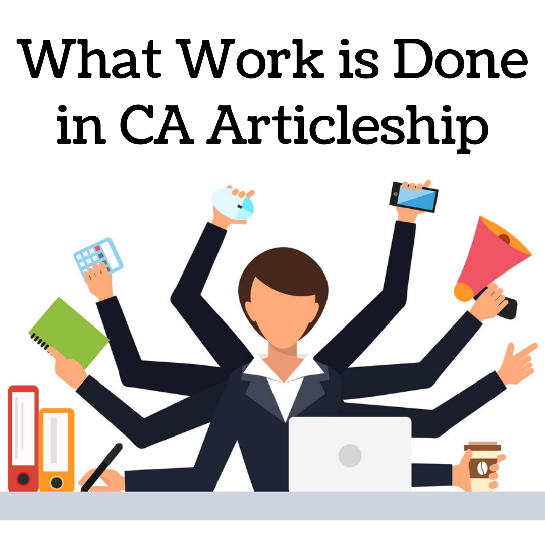 what-work-is-done-in-ca-articleship